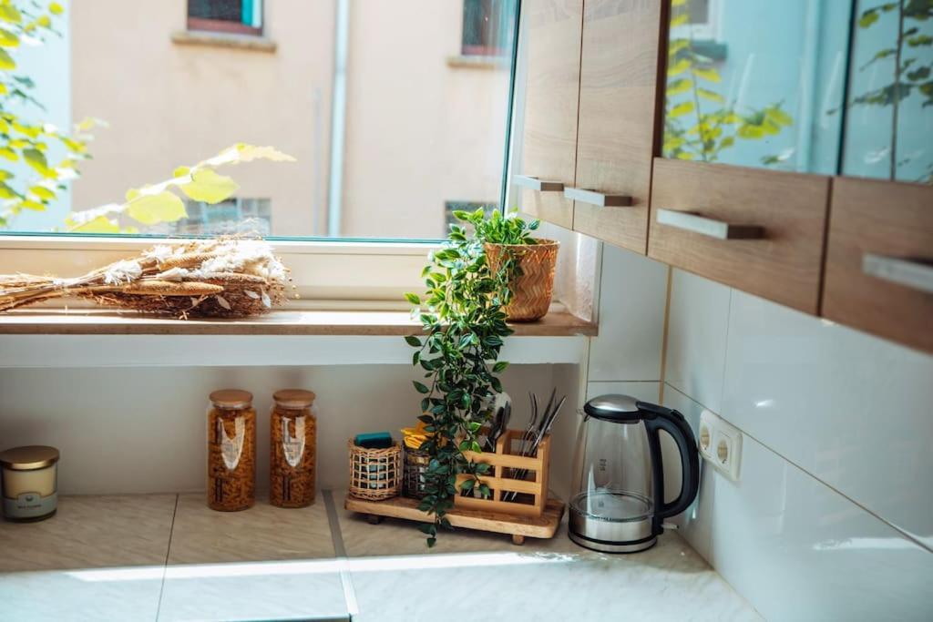 Central-Living Brown - Wifi - Netflix - 5 Pers 에센 외부 사진